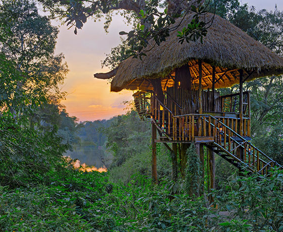 Coorg