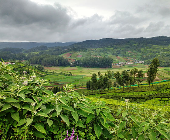 Kerala