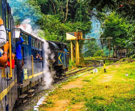 Ooty