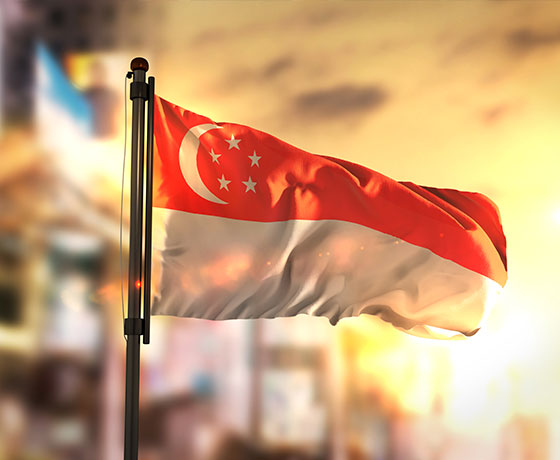 Singapore Visa